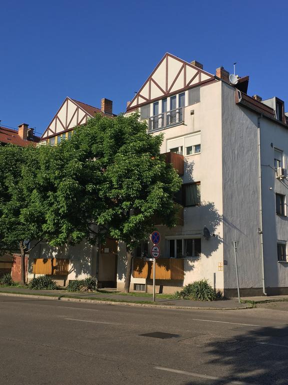 شقة Szekszárd  في Grey Apartman المظهر الخارجي الصورة